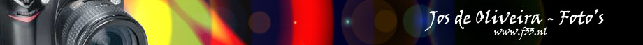 netherlands, holland, Nederland, album, digital, camera, slide, slideshow, art, nature, sky, photography, natuur, photo, show, Photo, Photos, Pictures, fotografie, foto, foto's, Fotografia, Nikon d70, Amsterdam Centrum, Purmerland, Waterland, Twiske, Stopera, Broek-in-Waterland, haven, strand, porto, caparica, USA, monterey, canyon, wielerronde Stadshagen Zwolle